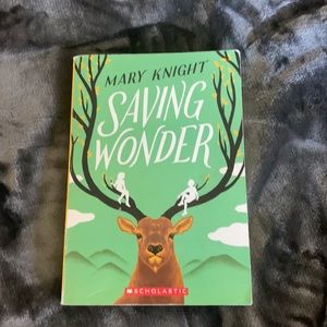Book: Saving Wonder
